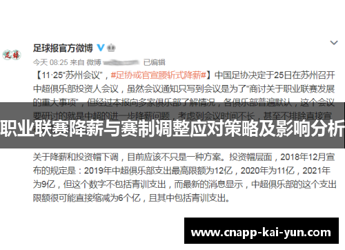 职业联赛降薪与赛制调整应对策略及影响分析 职业联赛降薪与赛制调整应对策略及影响分析