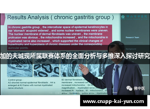 加的夫城现所属联赛体系的全面分析与多维深入探讨研究