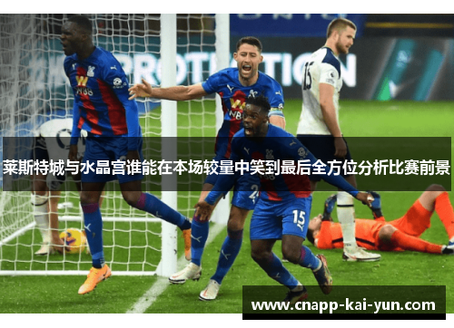 莱斯特城与水晶宫谁能在本场较量中笑到最后全方位分析比赛前景 莱斯特城与水晶宫谁能在本场较量中笑到最后全方位分析比赛前景