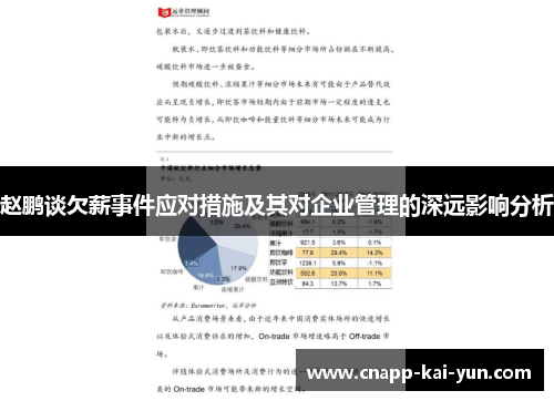 赵鹏谈欠薪事件应对措施及其对企业管理的深远影响分析