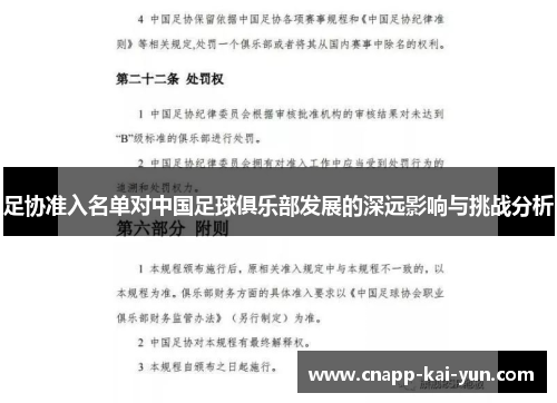 足协准入名单对中国足球俱乐部发展的深远影响与挑战分析