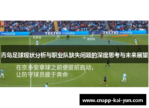 青岛足球现状分析与职业队缺失问题的深度思考与未来展望