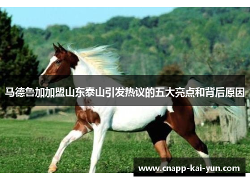 马德鲁加加盟山东泰山引发热议的五大亮点和背后原因 马德鲁加加盟山东泰山引发热议的五大亮点和背后原因