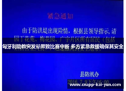 匈牙利助教突发晕厥致比赛中断 多方紧急救援确保其安全 匈牙利助教突发晕厥致比赛中断 多方紧急救援确保其安全
